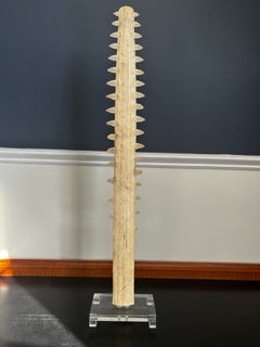 Vintage Sawfish Rostrum Sculpture on Lucite Base