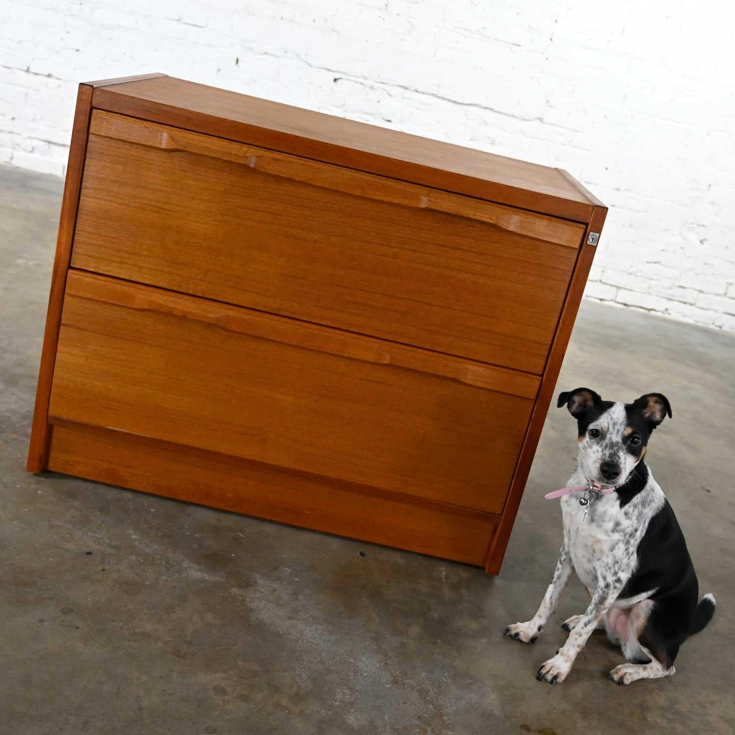 Handsome vintage Scandinavian Modern teak veneer lateral locking file or console cabinet with solid teak handles. Beautiful condition, keeping in mind that this is vintage and not new so will have signs of use and wear. This cabinet has been