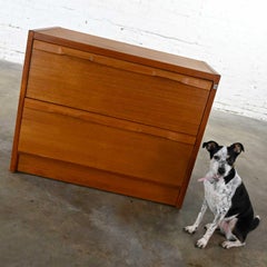Vintage Scandinavian Modern Teak 2 Drawer Lateral Locking File Cabinet