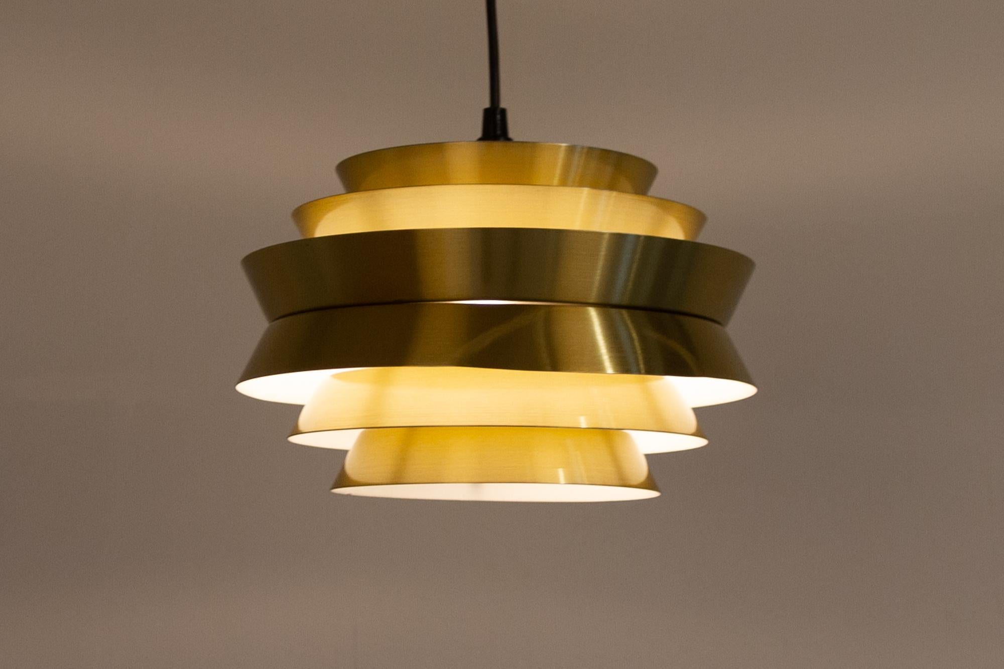 Vintage Scandinavian Trava Pendant Lamp by Carl Thore for Granhaga, 1960s 4