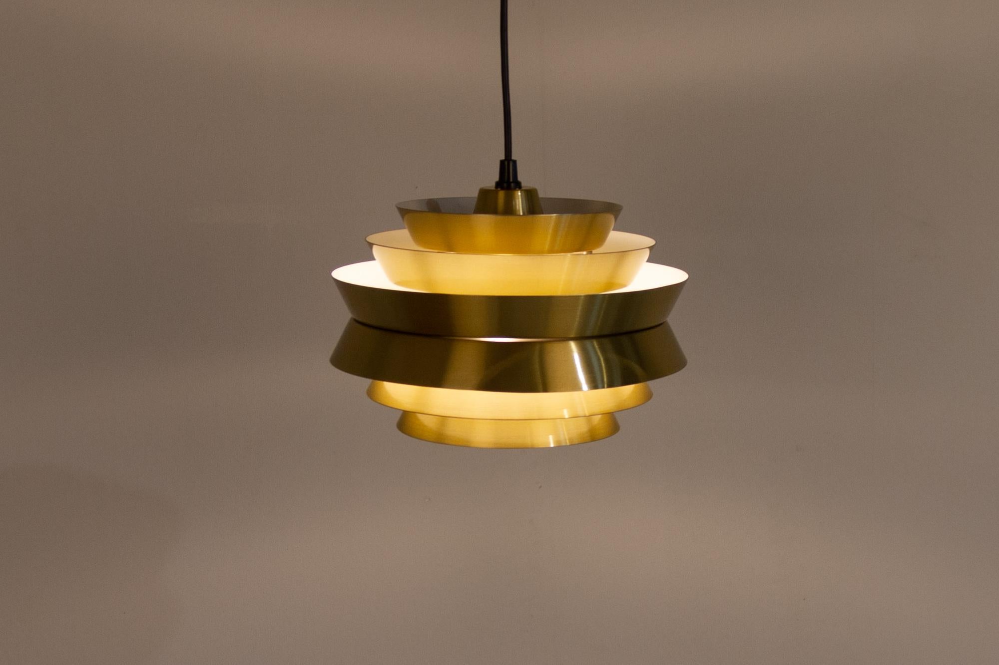 Vintage Scandinavian Trava Pendant Lamp by Carl Thore for Granhaga, 1960s 5