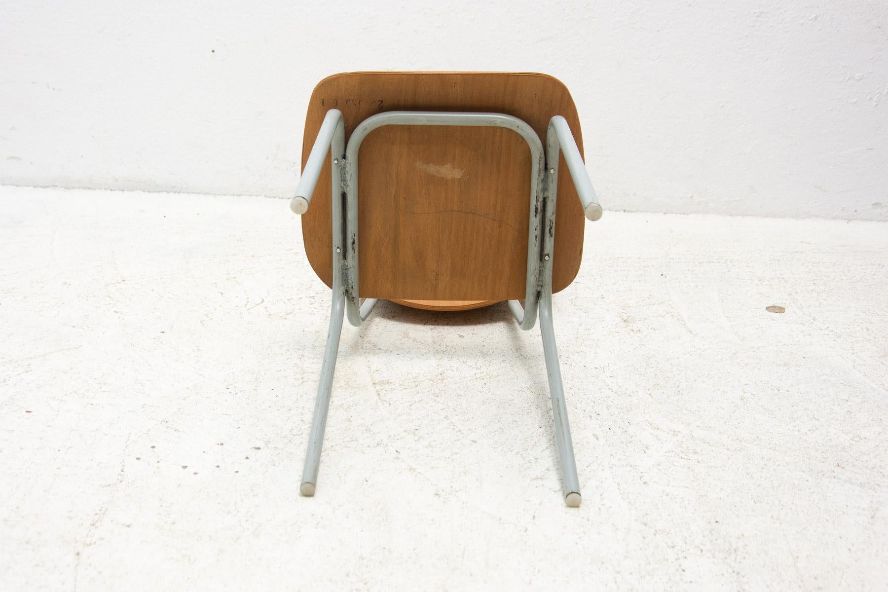 Vintage School Chairs, Czechoslovakia, 1970s, Set of 5 8