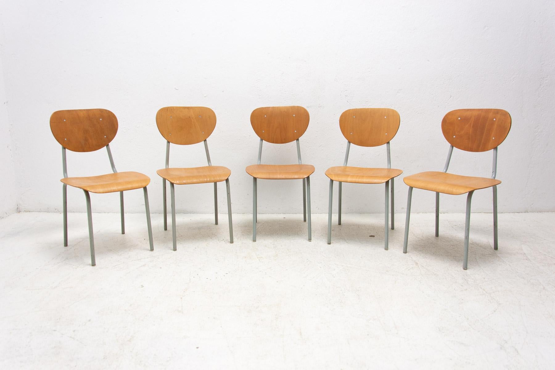 Vintage wooden and metal chairs, made in the former Czechoslovakia in the 1970s. They were used as school chairs at one of the Czechoslovak basic schools.

In good Vintage condition, without any damage, showing signs of age and using. Price is for