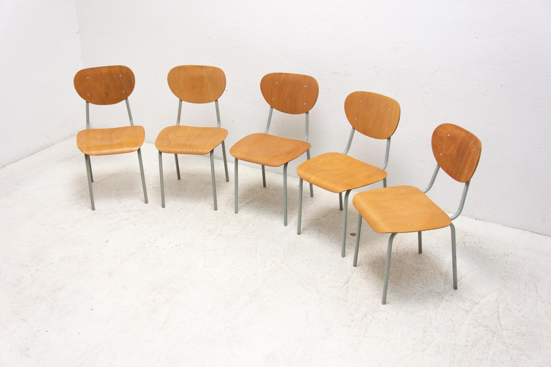 Mid-Century Modern Vintage School Chairs, Czechoslovakia, 1970s, Set of 5
