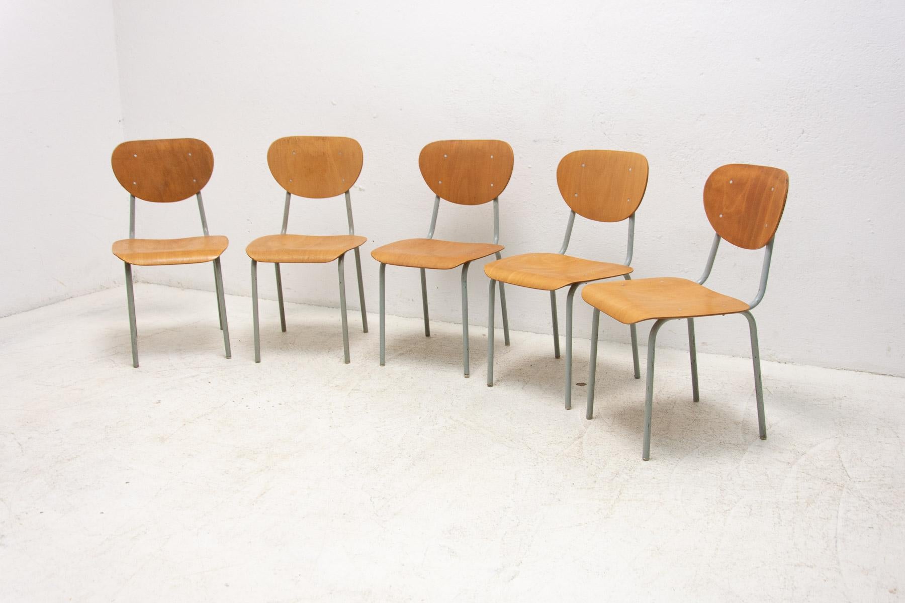 Vintage School Chairs, Czechoslovakia, 1970s, Set of 5 In Good Condition In Prague 8, CZ