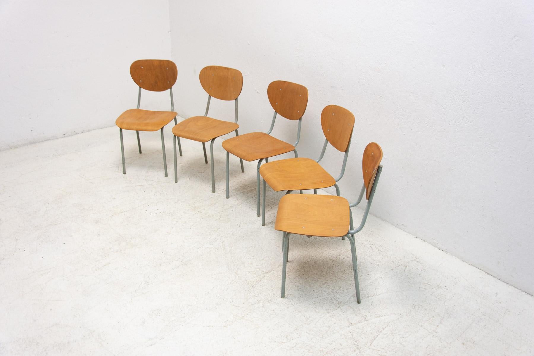 20th Century Vintage School Chairs, Czechoslovakia, 1970s, Set of 5