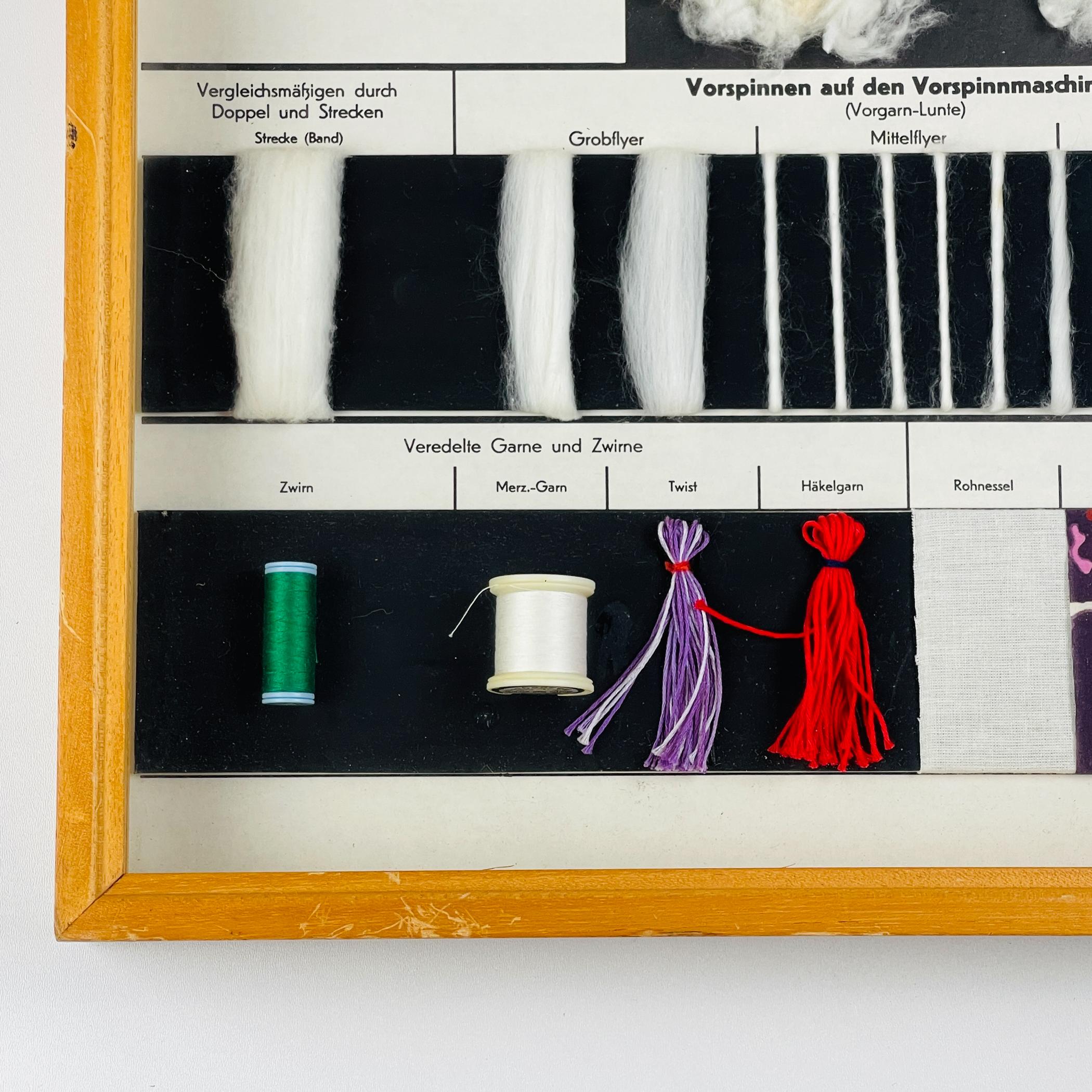 Vintage school education display Die Baumwolle (Cotton) by Josef Galler, Germany For Sale 6