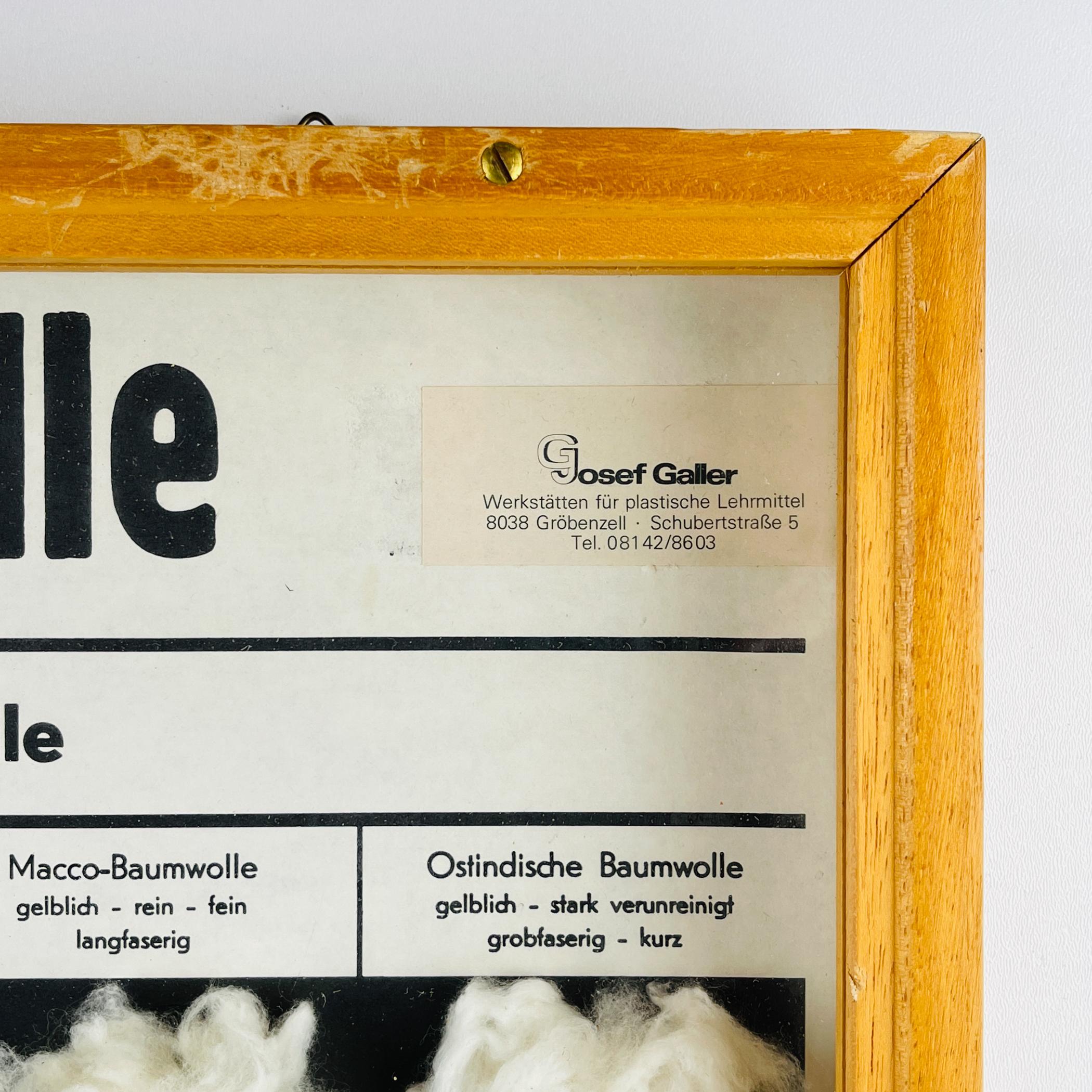 Vintage school education display Die Baumwolle (Cotton) by Josef Galler, Germany For Sale 9