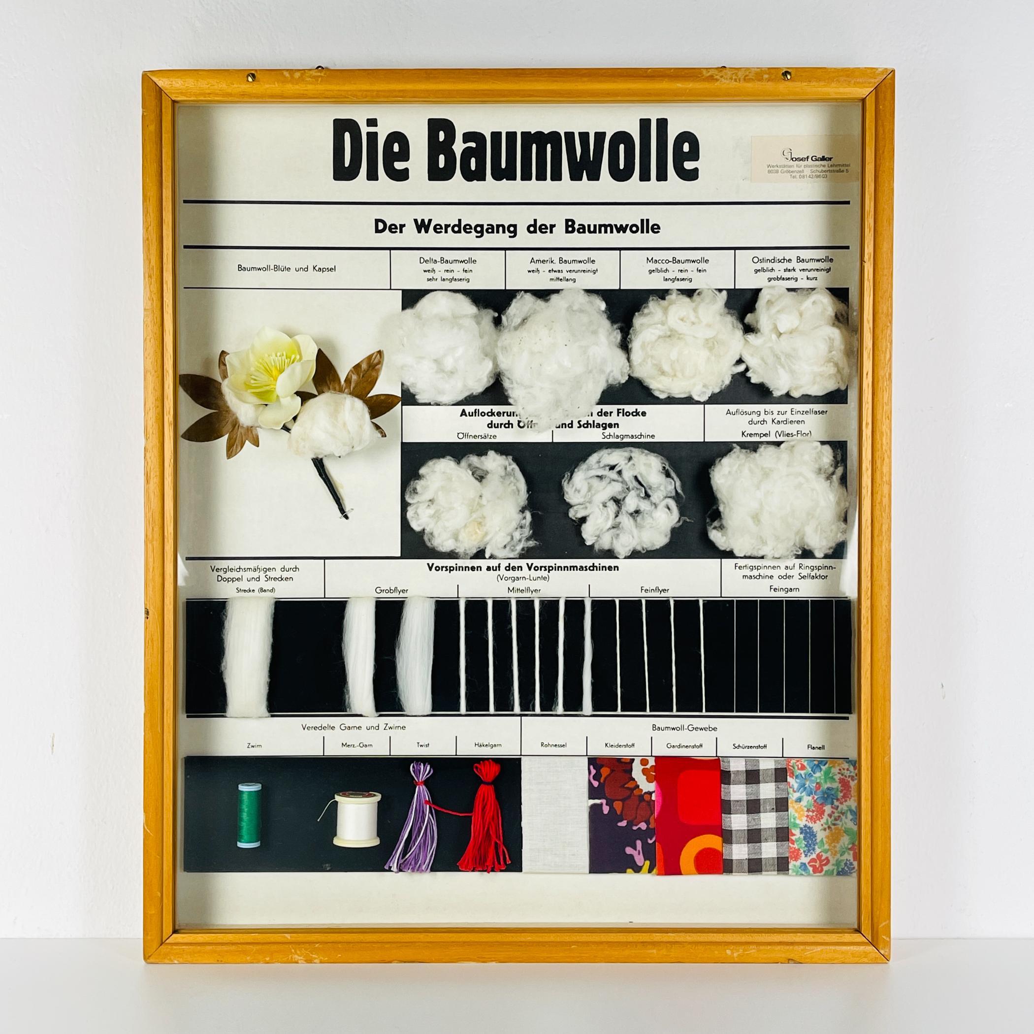 Vintage school education display Die Baumwolle (Cotton) by Josef Galler made in Germany in the 1960s.
Josef Galler the German creator of educational displays and school manuals on various topics of natural science. He worked in Germany in the middle