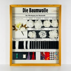 Vintage school education display Die Baumwolle (Cotton) by Josef Galler, Germany