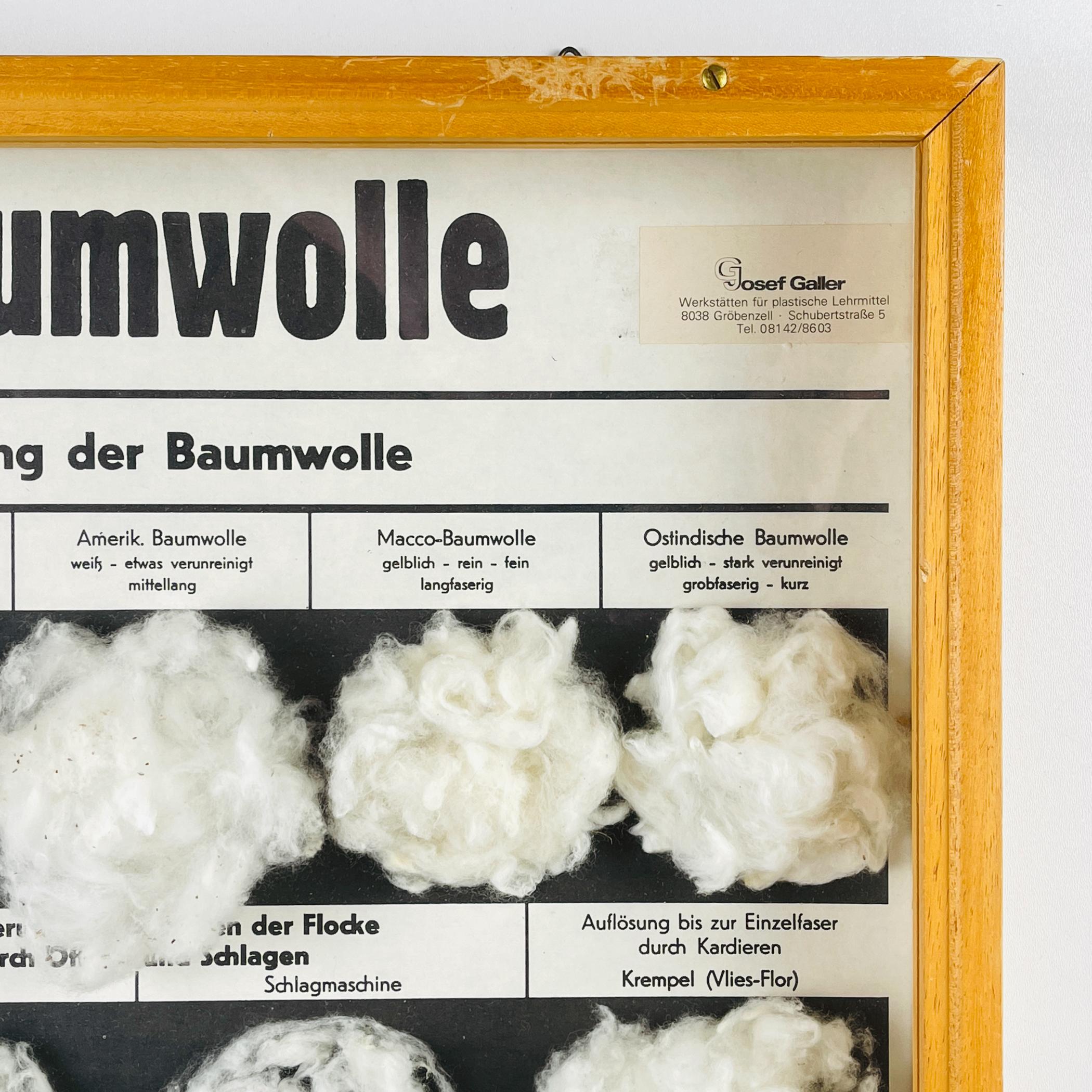 Mid-Century Modern Vintage school education display Die Baumwolle (Cotton) by Josef Galler, Germany For Sale