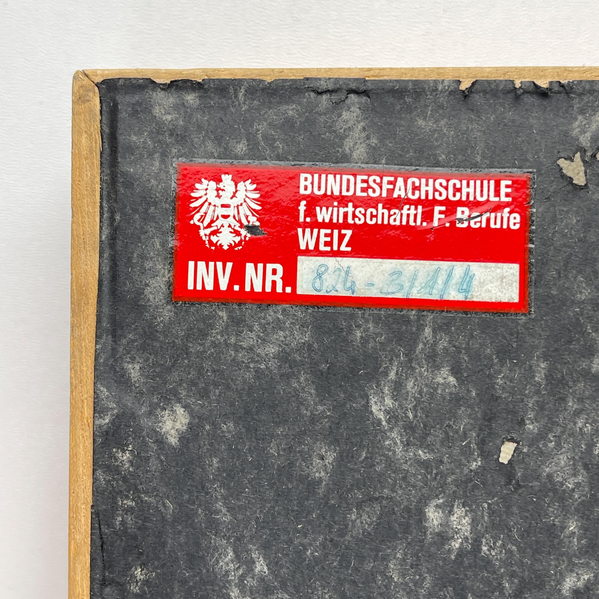 Vintage school education display Die Baumwolle (Cotton) by Josef Galler, Germany In Good Condition For Sale In Miklavž Pri Taboru, SI