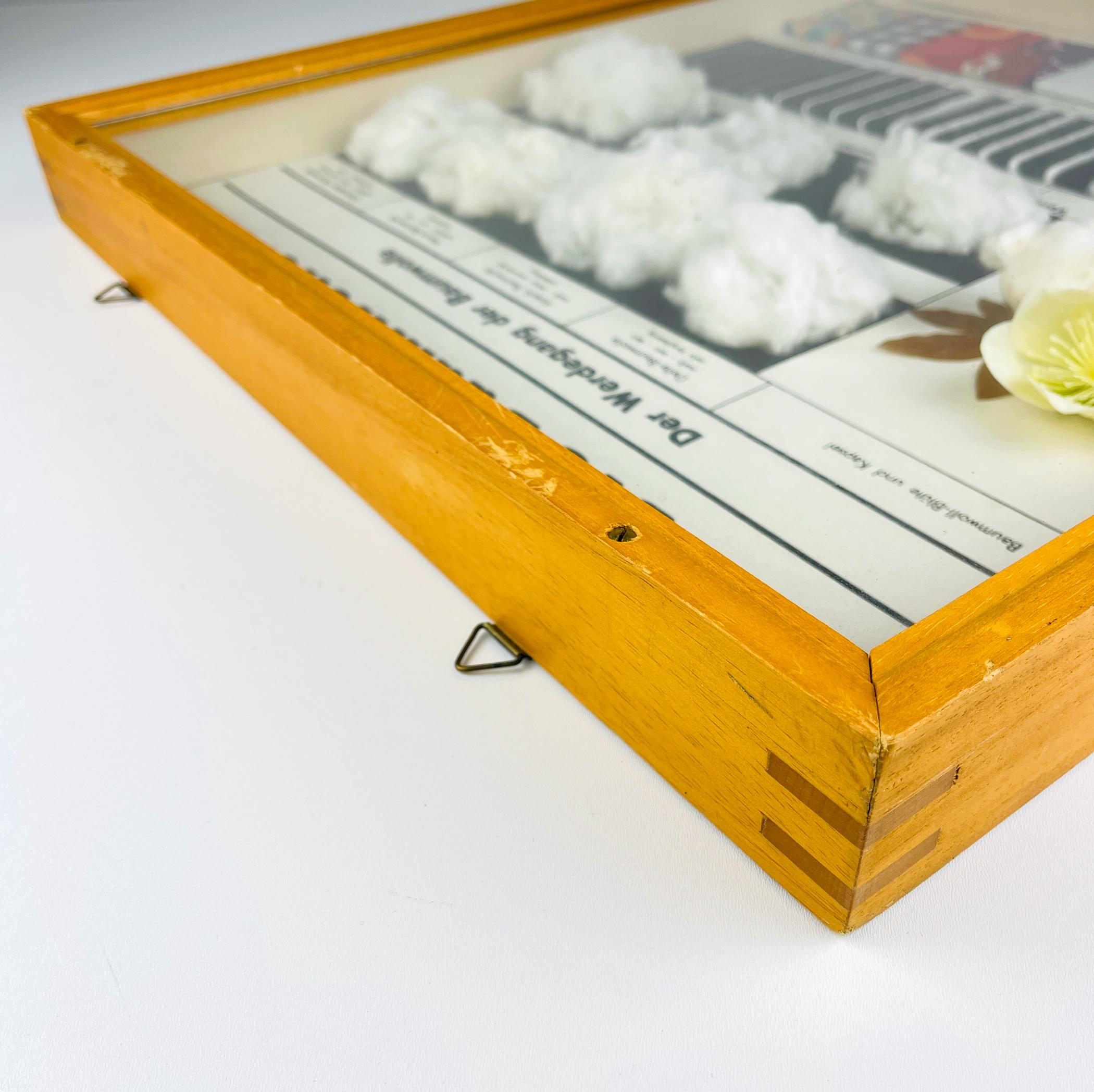 Vintage school education display Die Baumwolle (Cotton) by Josef Galler, Germany For Sale 1