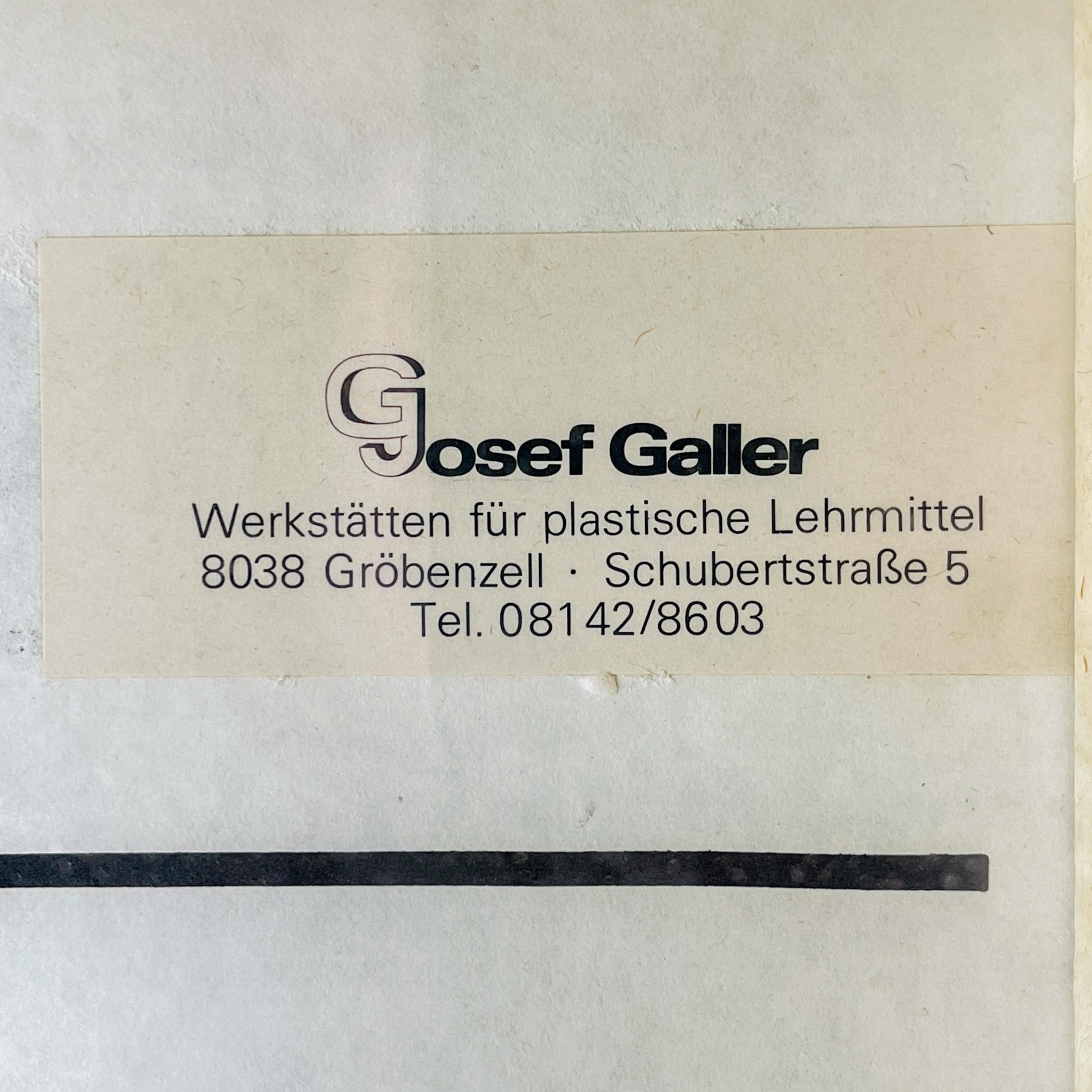 Vintage school education display Die Baumwolle (Cotton) by Josef Galler, Germany For Sale 4