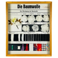 Espositore scolastico vintage Die Baumwolle (Cotone) di Josef Galler, Germania