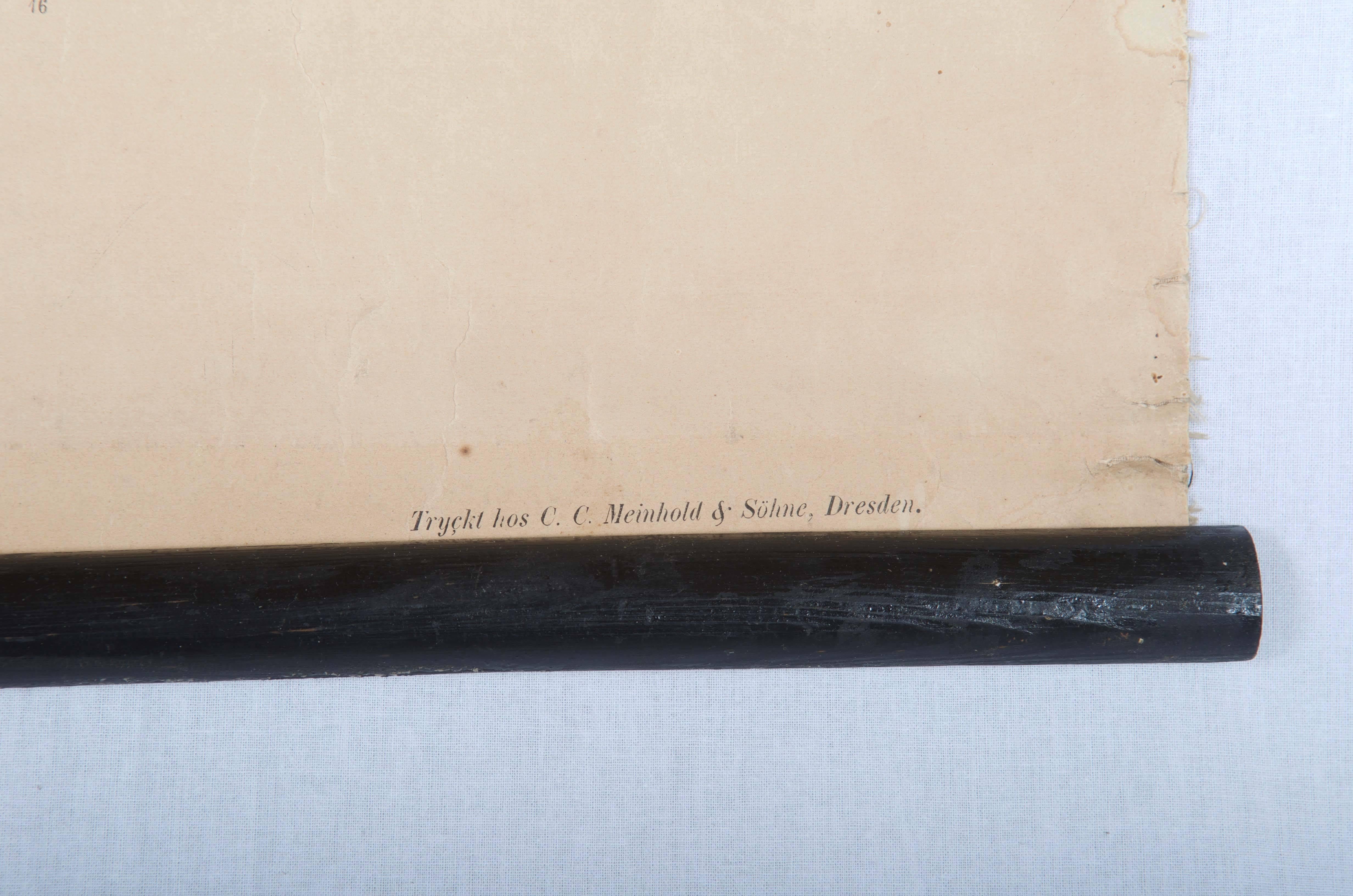 Wandtafel mit der Darstellung der menschlichen Organe.
Wahrscheinlich aus den 1850er Jahren. Gedruckt in Deutschland für schwedische Schulen.
Bunter Druck auf Papier.
Guter Originalzustand, altersbedingte Gebrauchsspuren.