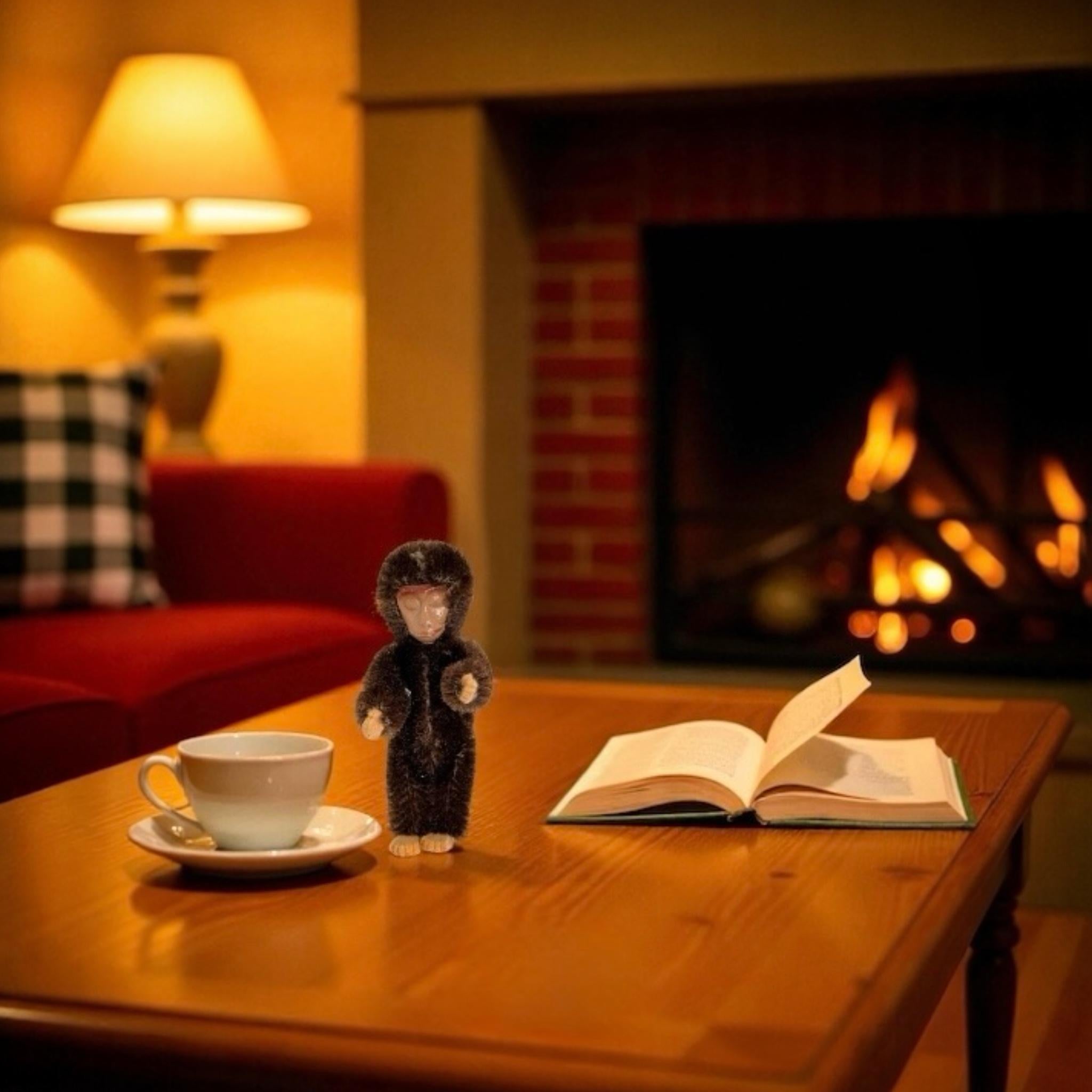 Miniatura Schuco in mohair con faccia di metallo, giocattolo Germania anni '50 in vendita 10