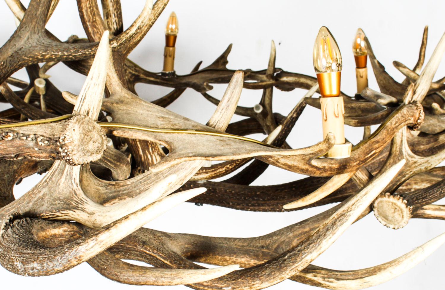 Vintage Scottish 8 Light Red Deer Antler Chandelier Mid 20th Century 4