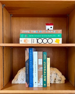 Vintage Sculptural Petrified Wood Bookends - A Pair