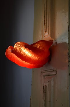 Vintage Sculptural Resin Shell Wall Sconce, Organic Design, 1970s