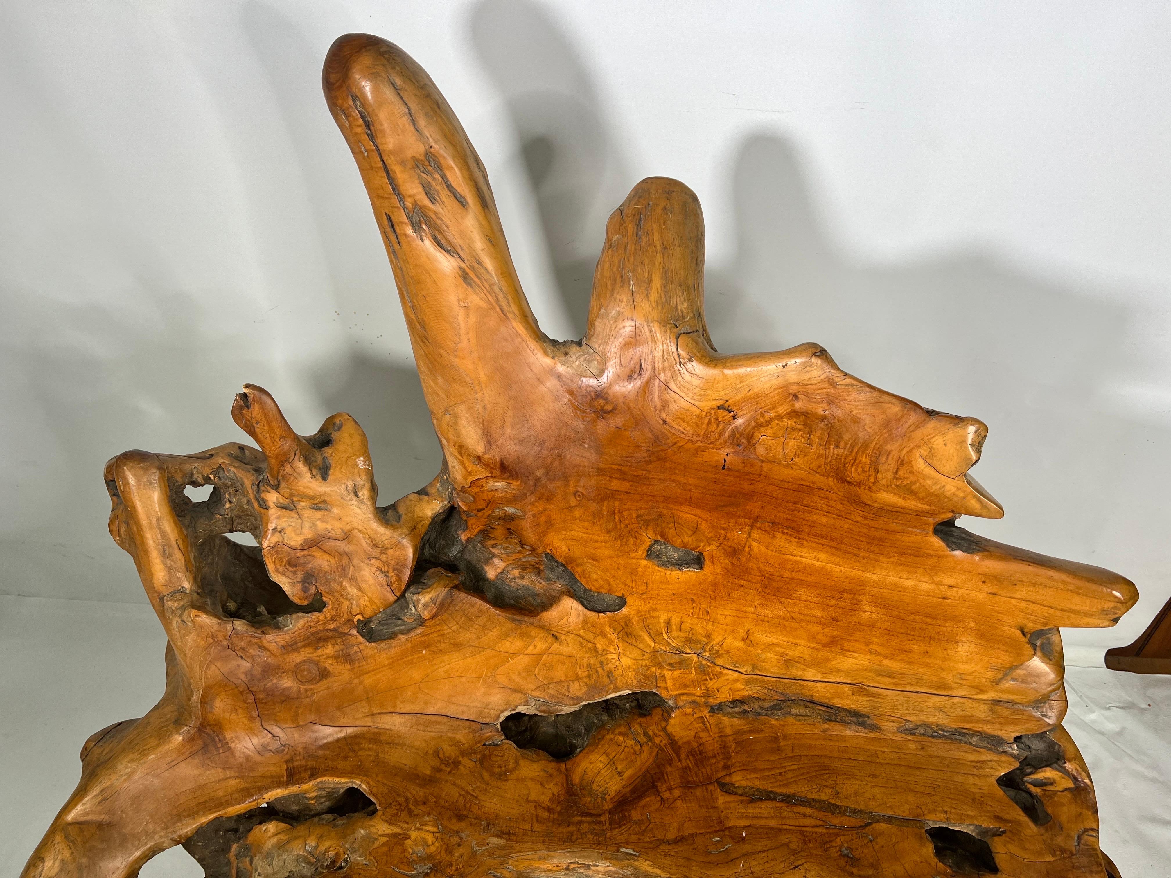 This is a absolutely stunning teak root tree bench, The form of the root looks amazing and is very heavy.