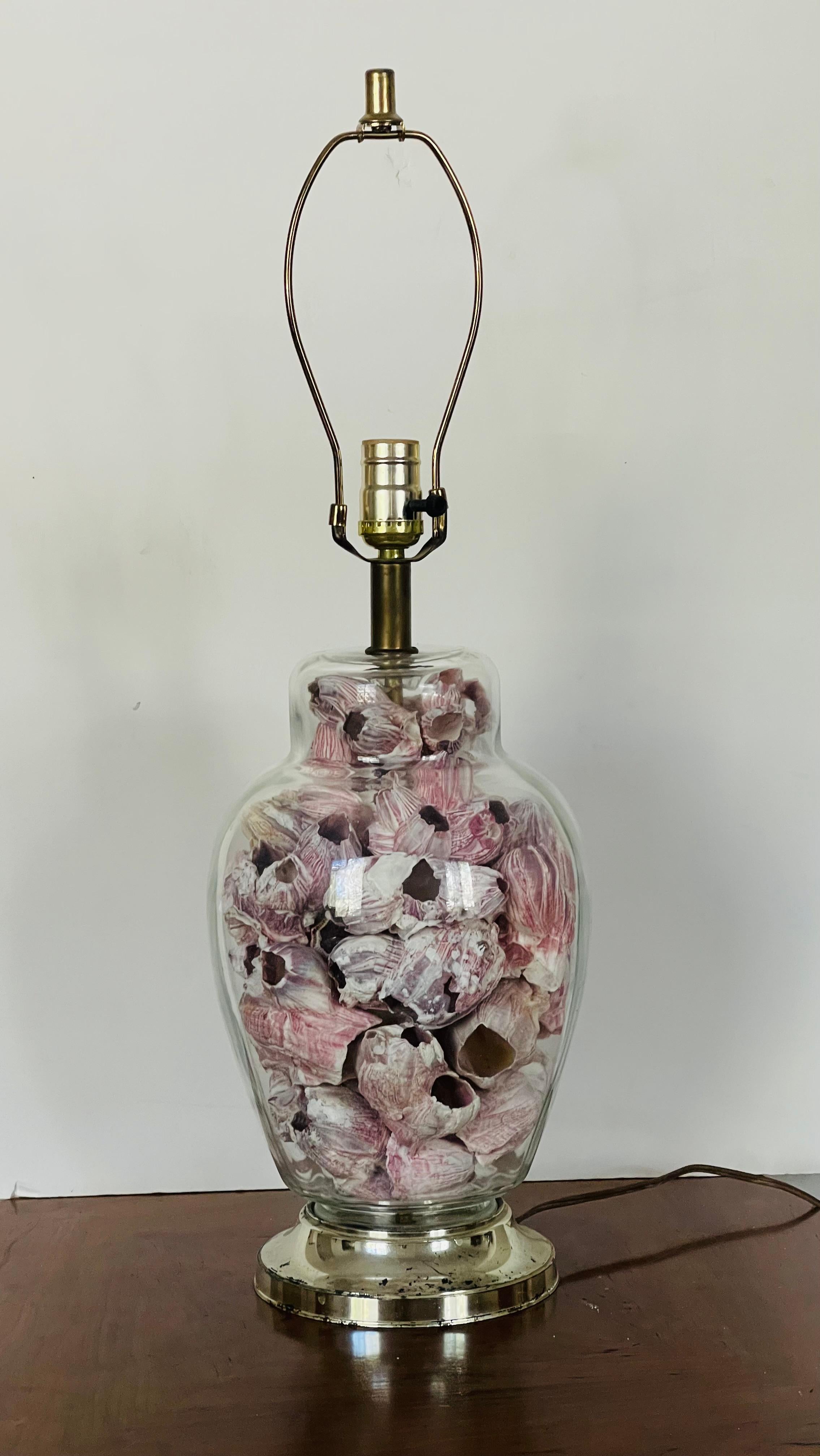 Vintage large glass ginger jar filled with barnacle sea shells.