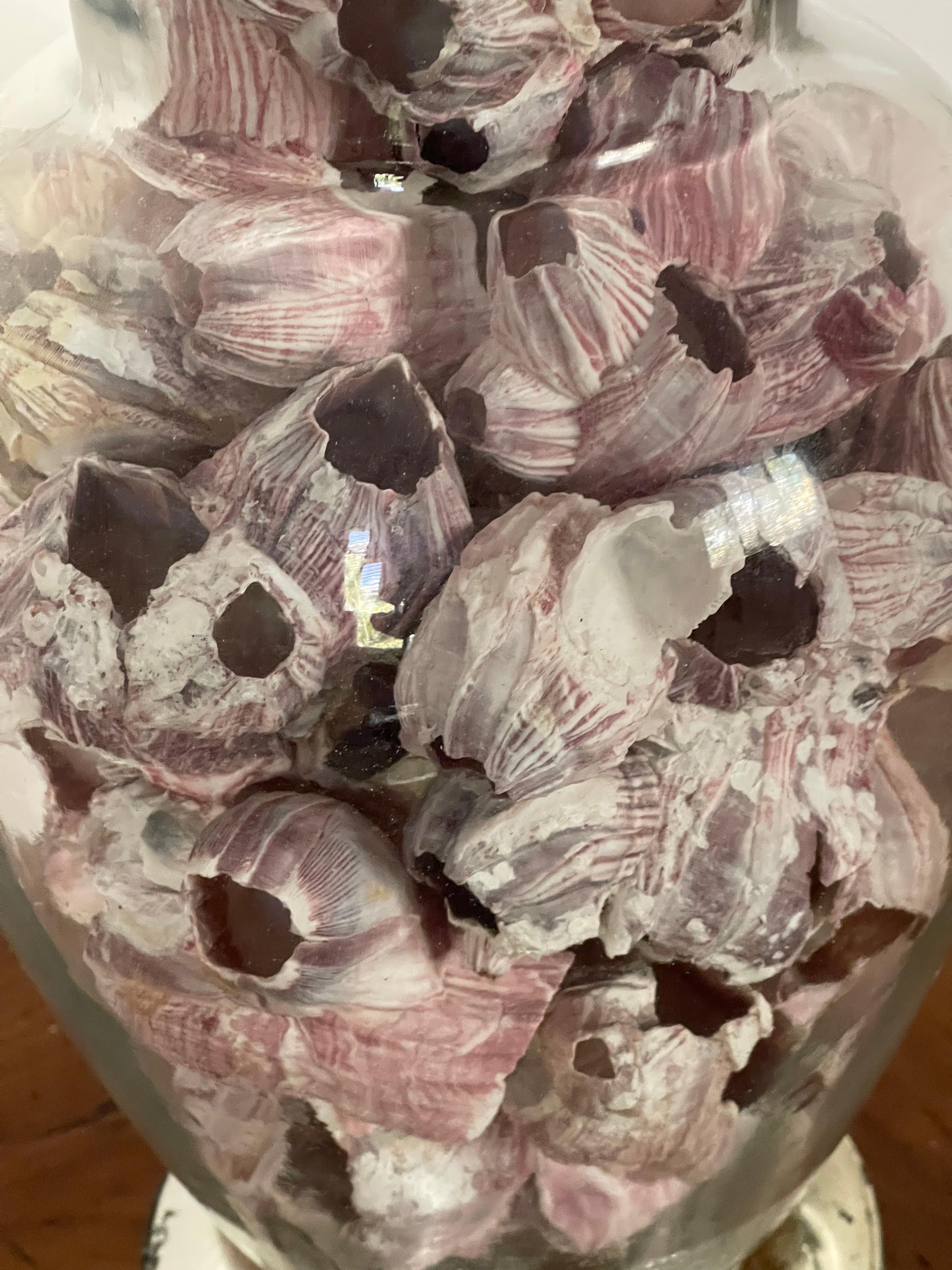 17th Century Vintage Sea Shell Barnacle Ginger Jar Lamp For Sale