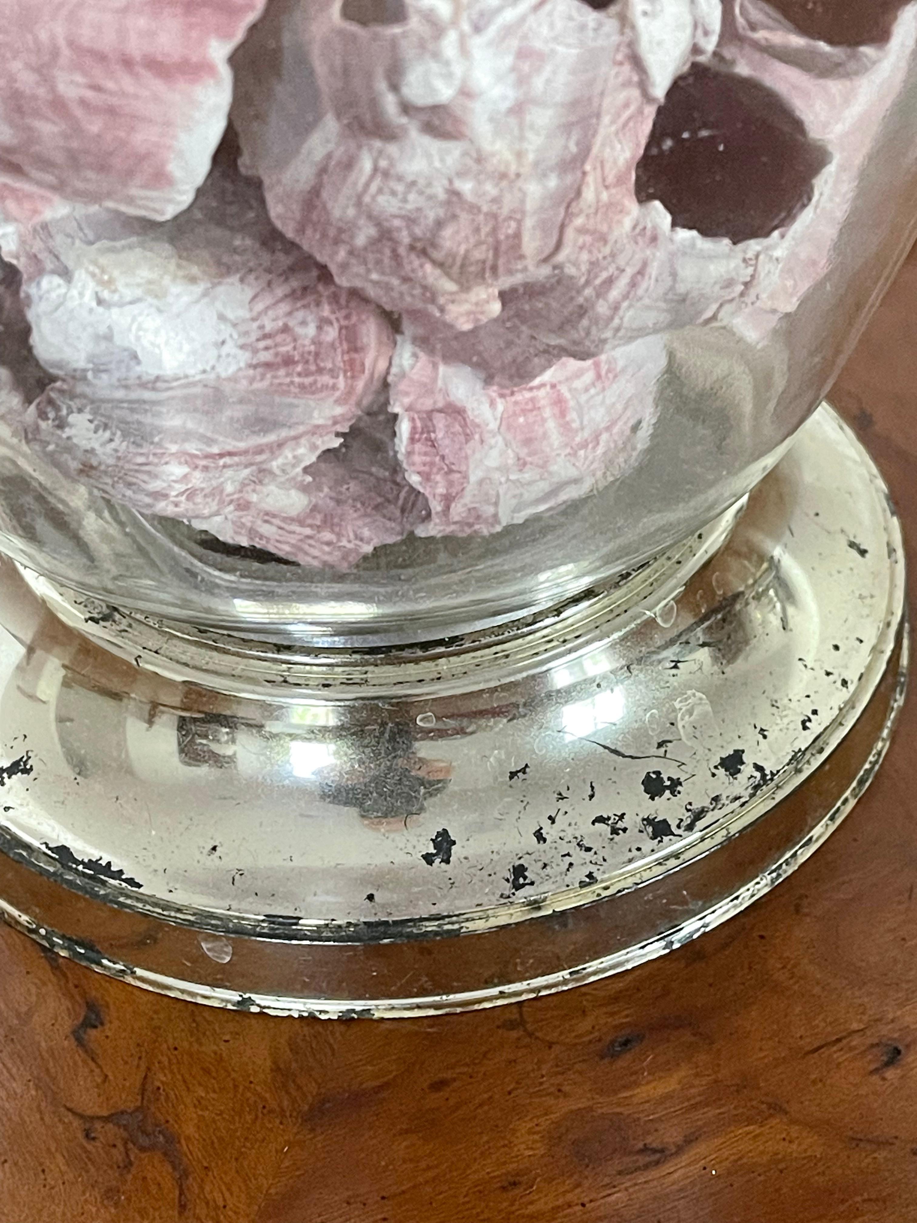 Vintage Sea Shell Barnacle Ginger Jar Lamp For Sale 1