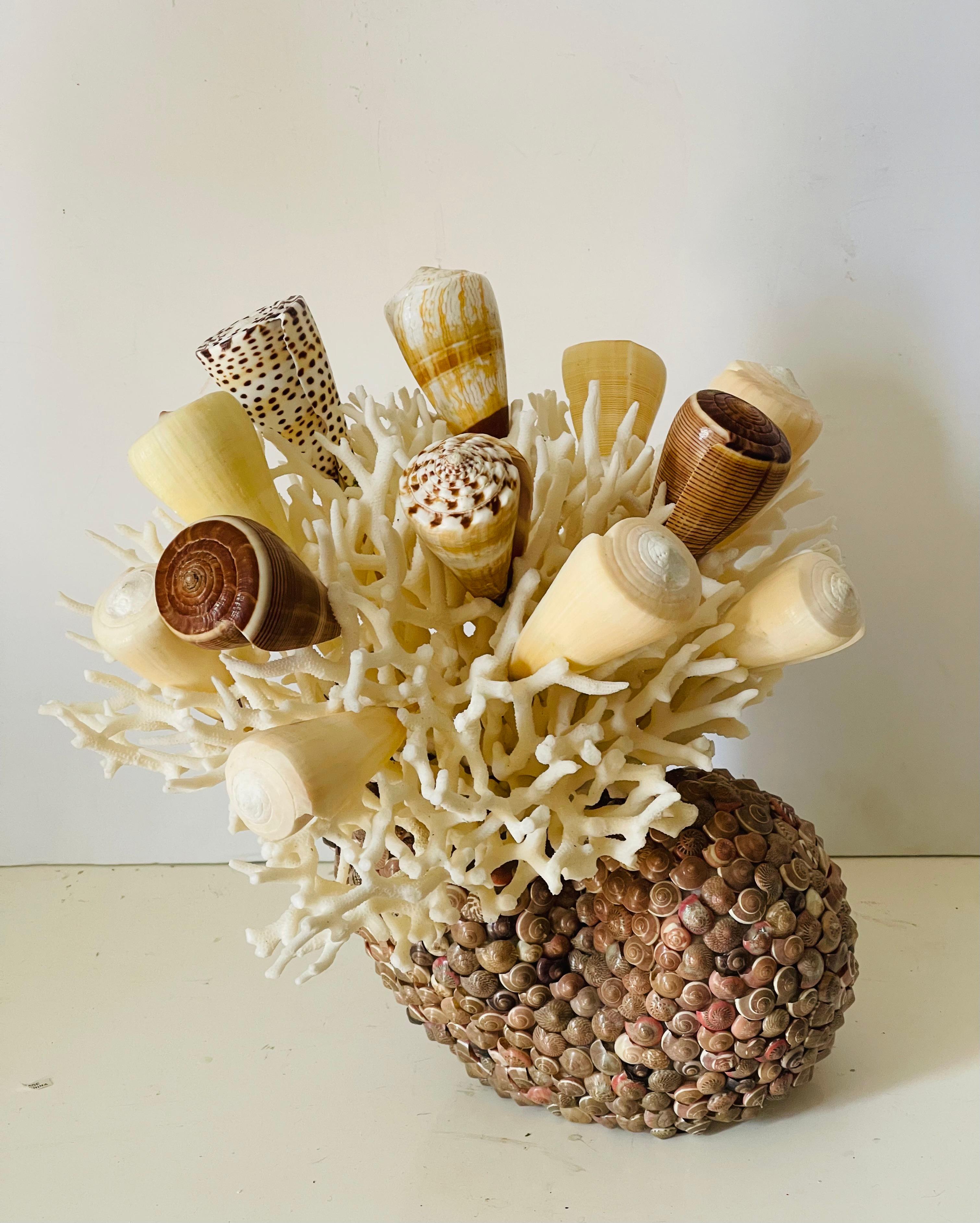 Organique Taxidermie vintage de coquillages de mer Taxidermie côtière en vente