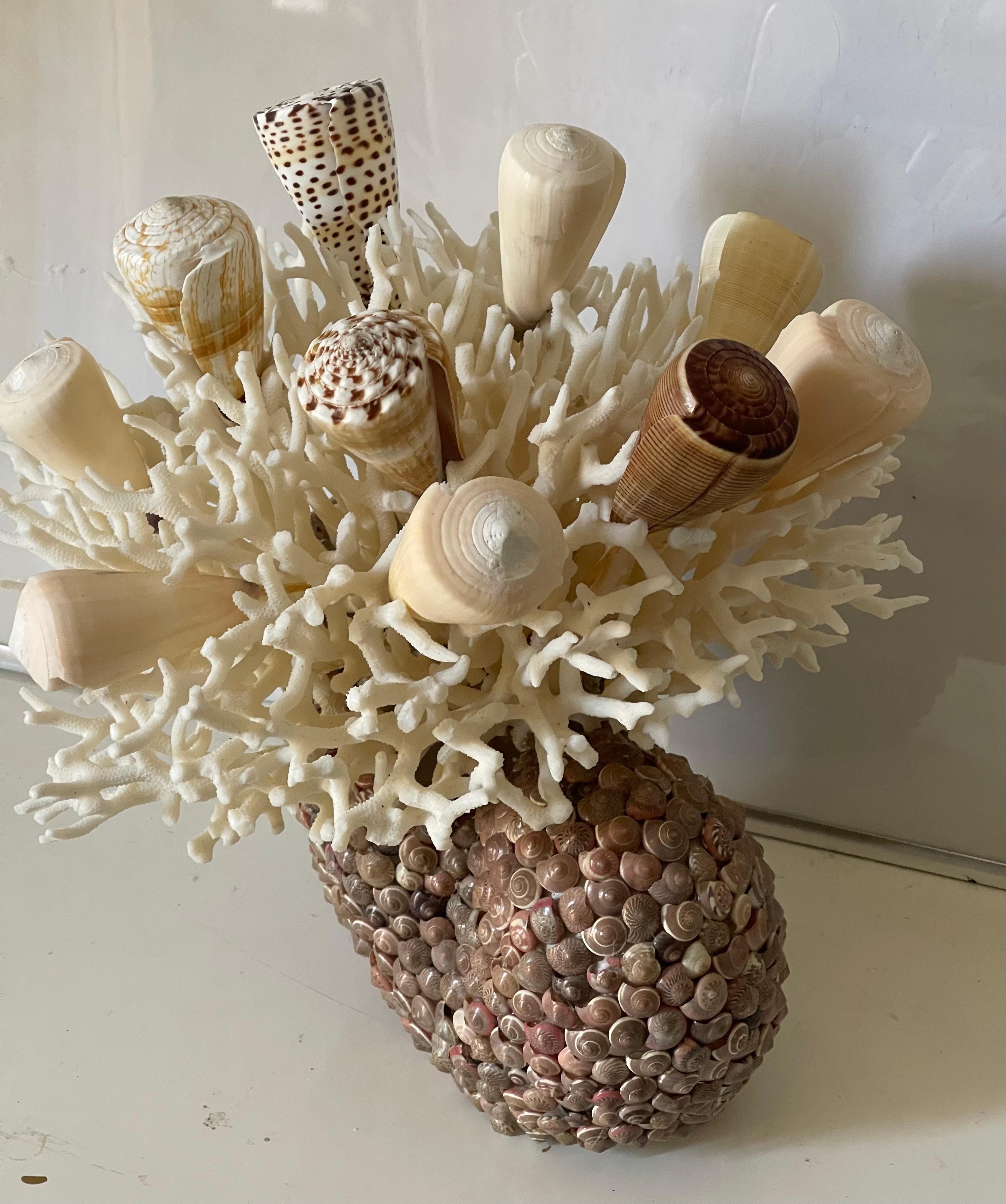 Fin du 20e siècle Taxidermie vintage de coquillages de mer Taxidermie côtière en vente