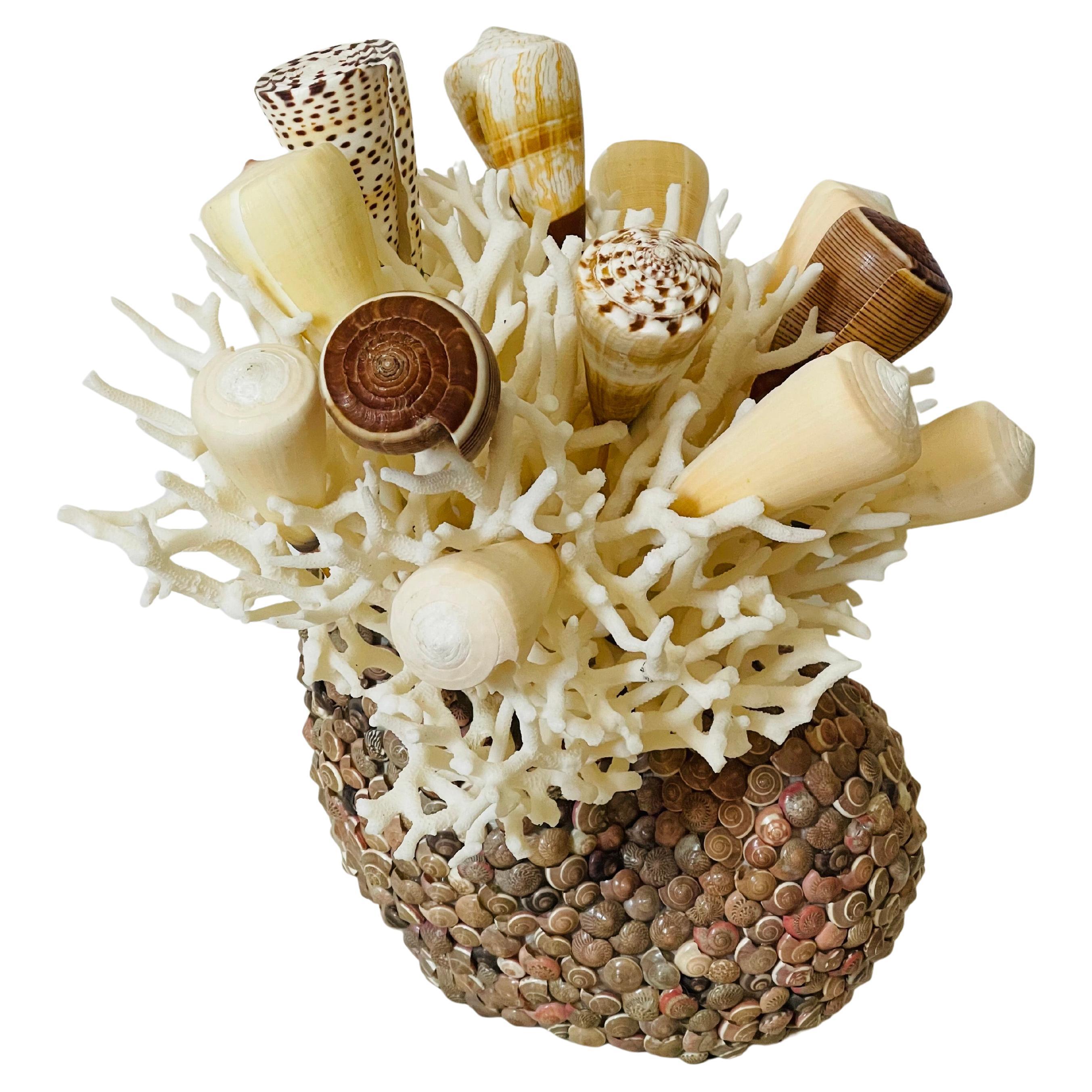 Vintage Sea Shell Cornucopia Taxidermy Coastal