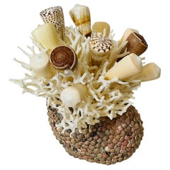 Collectibles and Curiosities