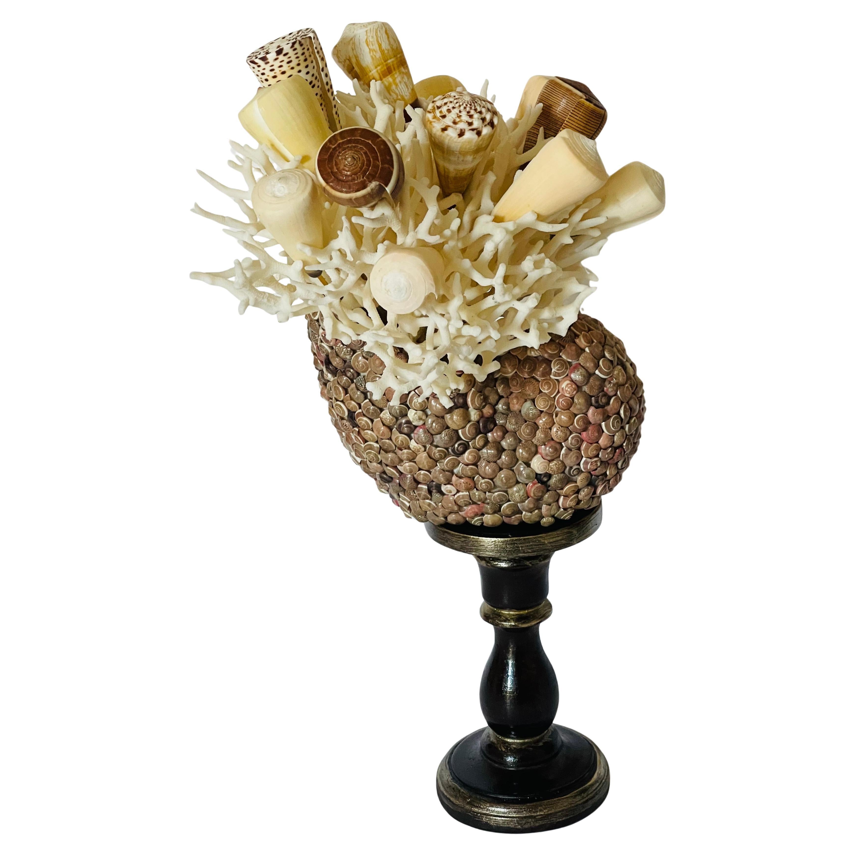 Taxidermie vintage de coquillages de mer Taxidermie côtière