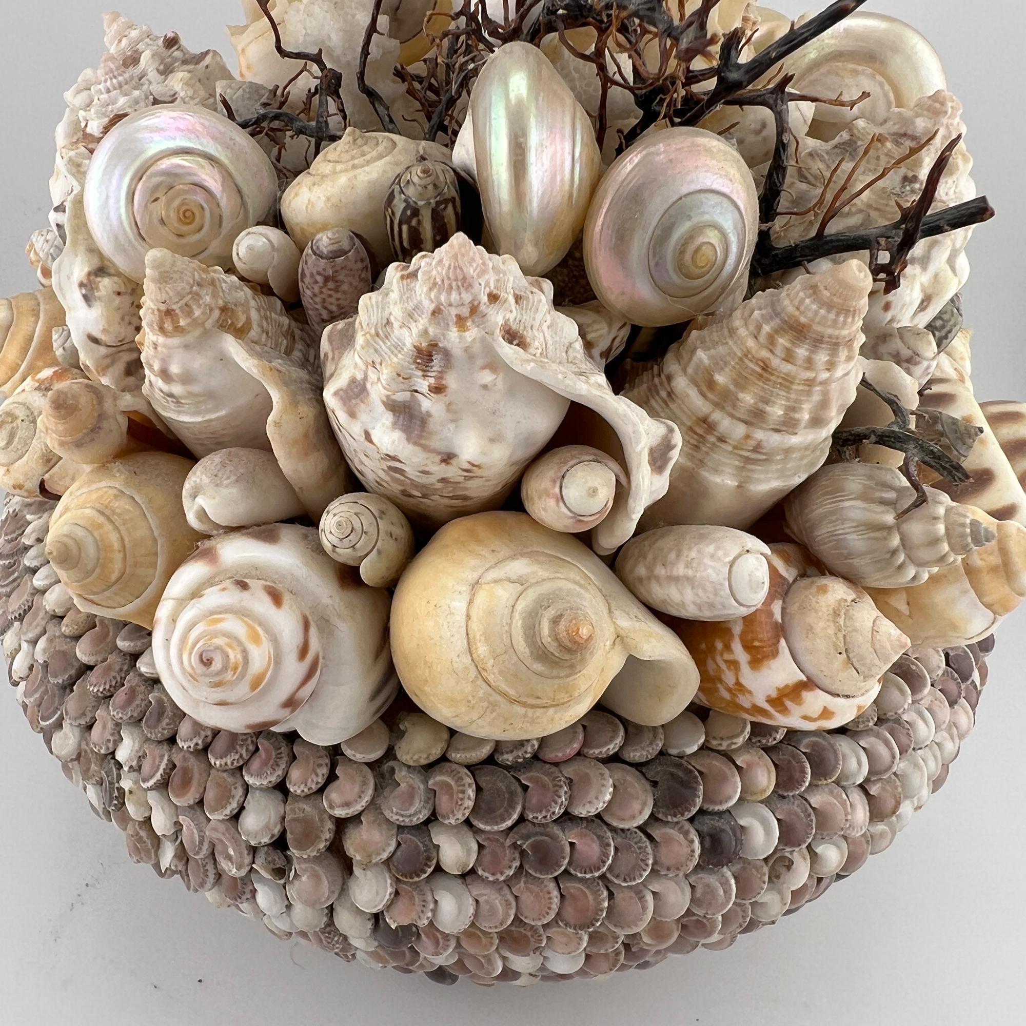 Un'accattivante fioriera vintage tempestata di conchiglie, piena di naturale bellezza marina. Questo pezzo meticolosamente lavorato a mano è ornato da centinaia di piccole conchiglie simili a vongole sulla parte esterna della ciotola, creando una