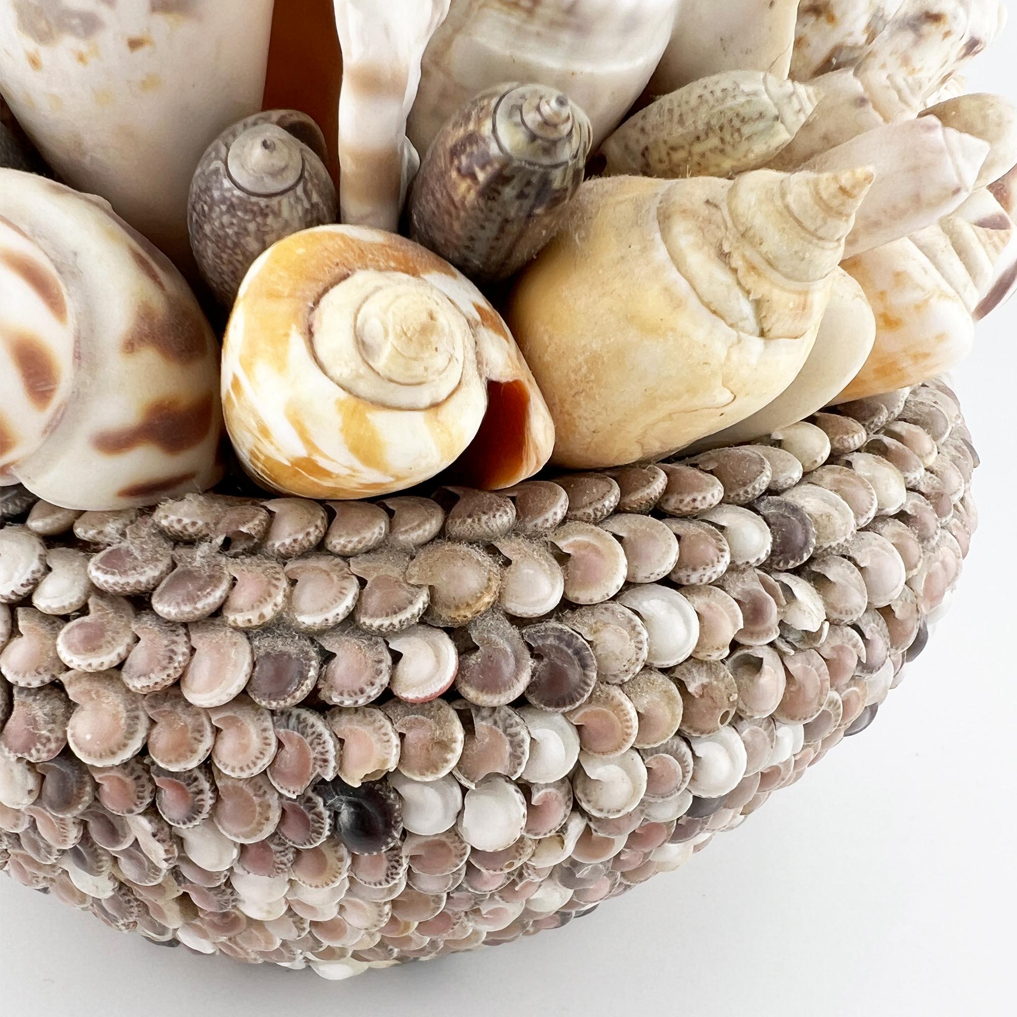 Pianta incrostata di conchiglie di mare vintage - Arte popolare nautica In condizioni buone in vendita a Oklahoma City, OK