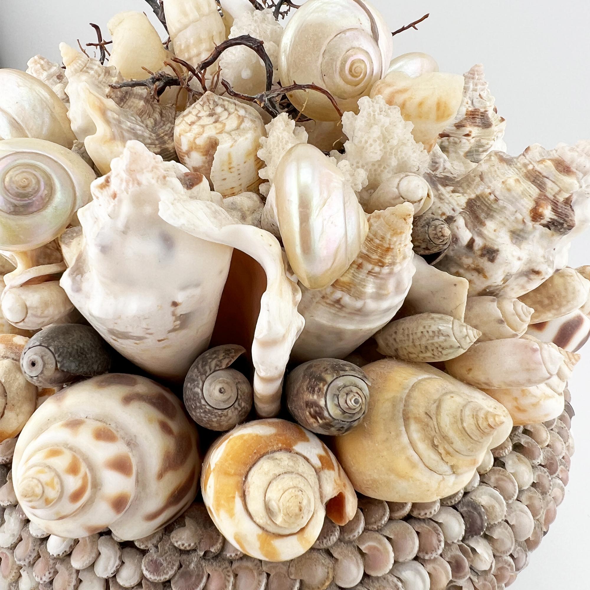 XX secolo Pianta incrostata di conchiglie di mare vintage - Arte popolare nautica in vendita