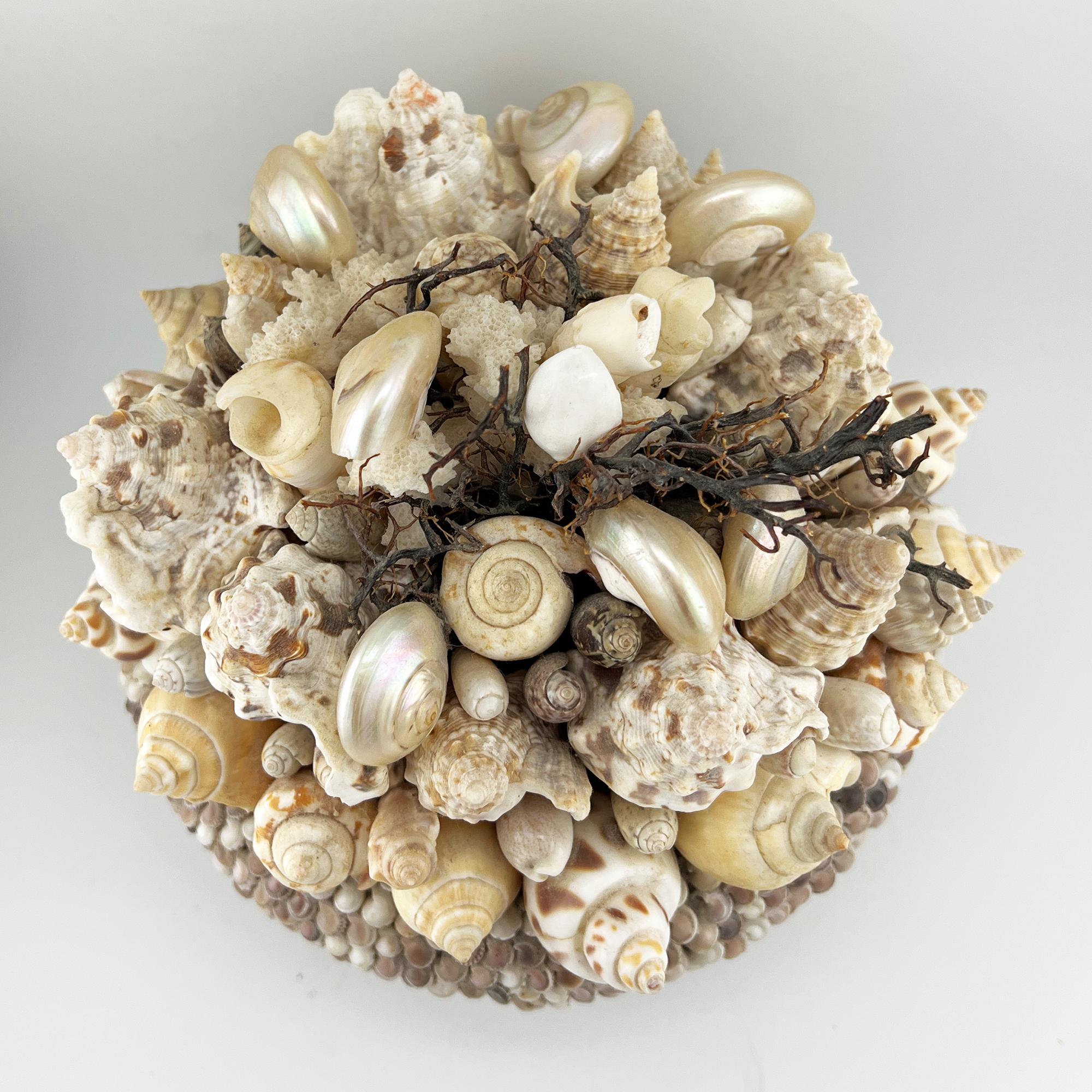 Conchiglia Pianta incrostata di conchiglie di mare vintage - Arte popolare nautica in vendita