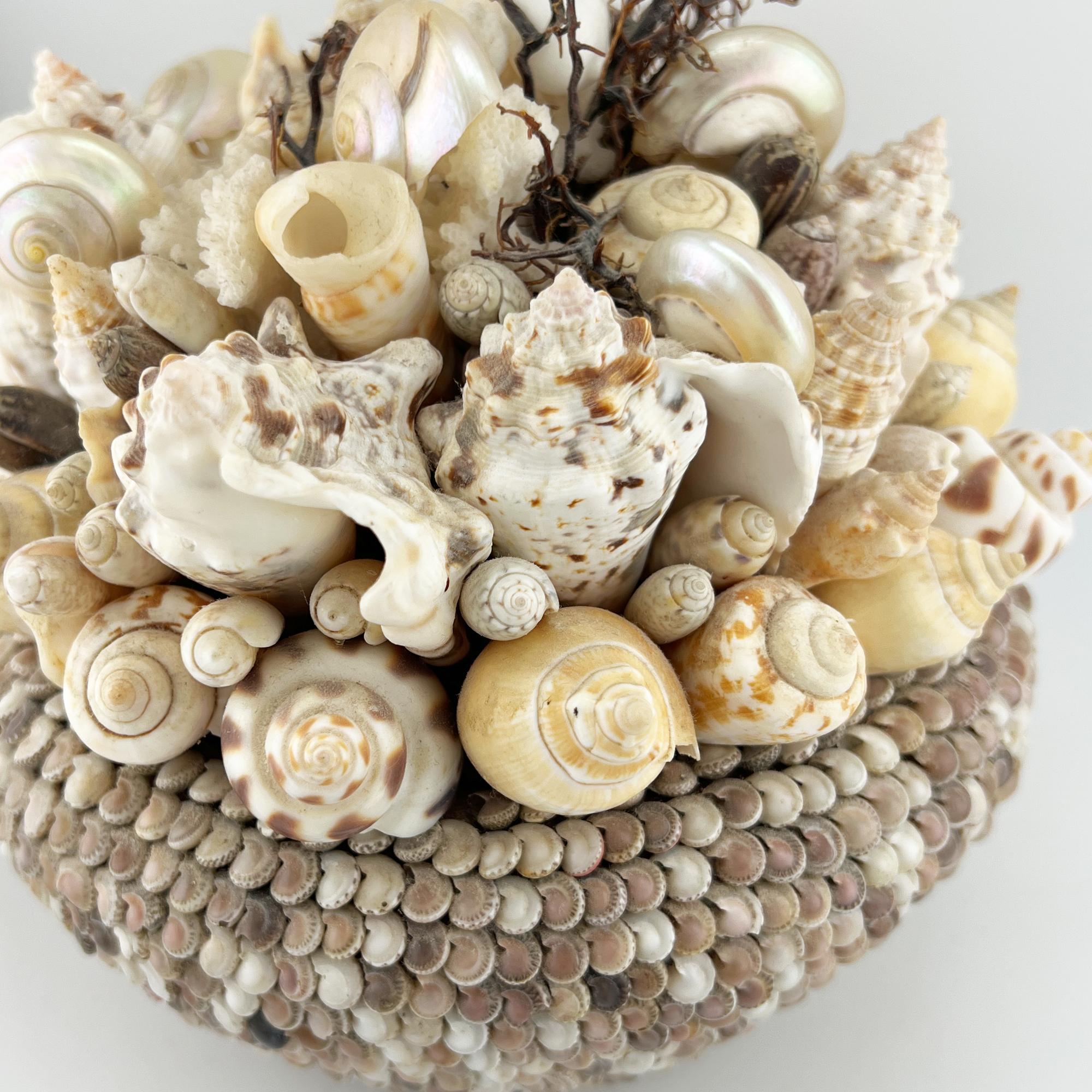 Pianta incrostata di conchiglie di mare vintage - Arte popolare nautica in vendita 1