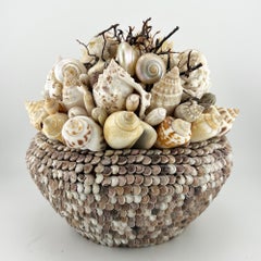 Pianta incrostata di conchiglie di mare vintage - Arte popolare nautica