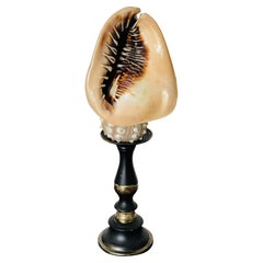 Collectibles and Curiosities