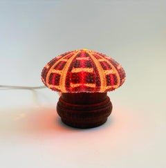 Vintage Sea Urchin Lamp