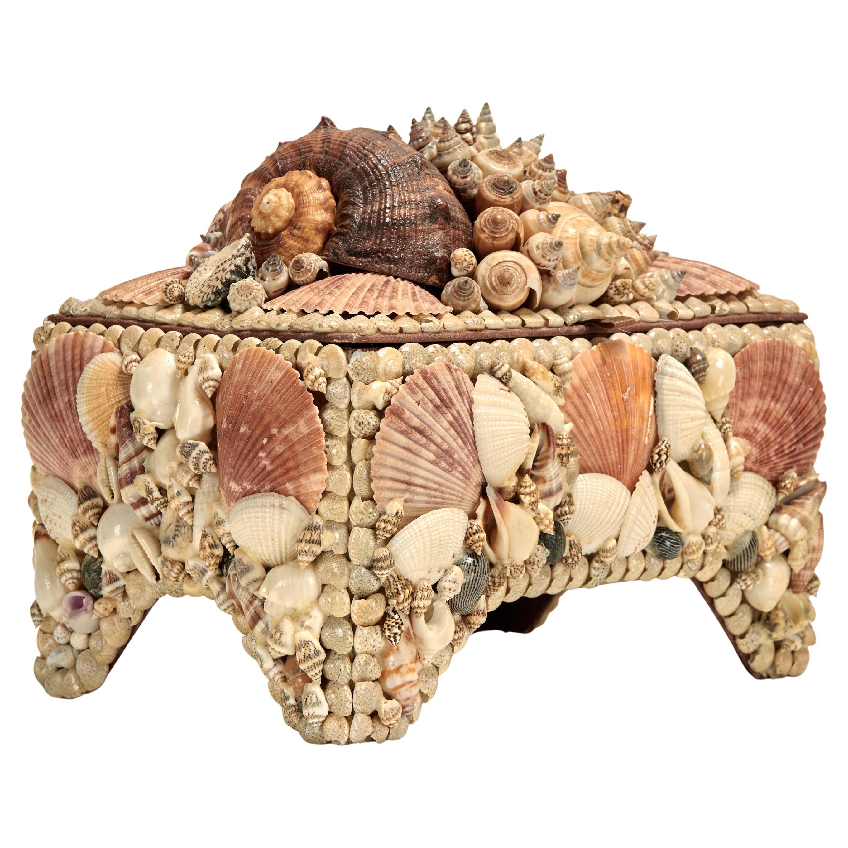 Vintage Muschel verkrustete Box