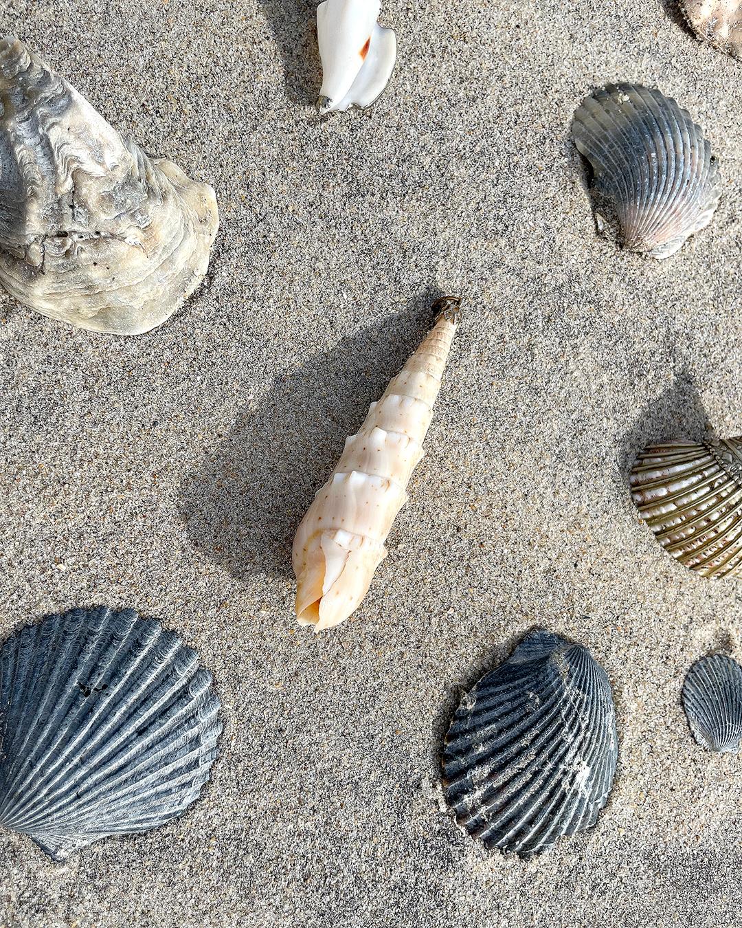 Vintage Seashell Pendant In Excellent Condition For Sale In New York, NY