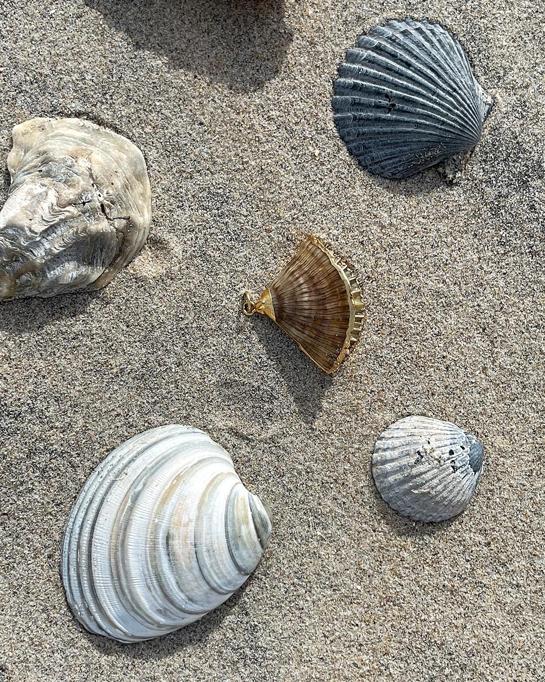 Vintage Seashell Pendant 2