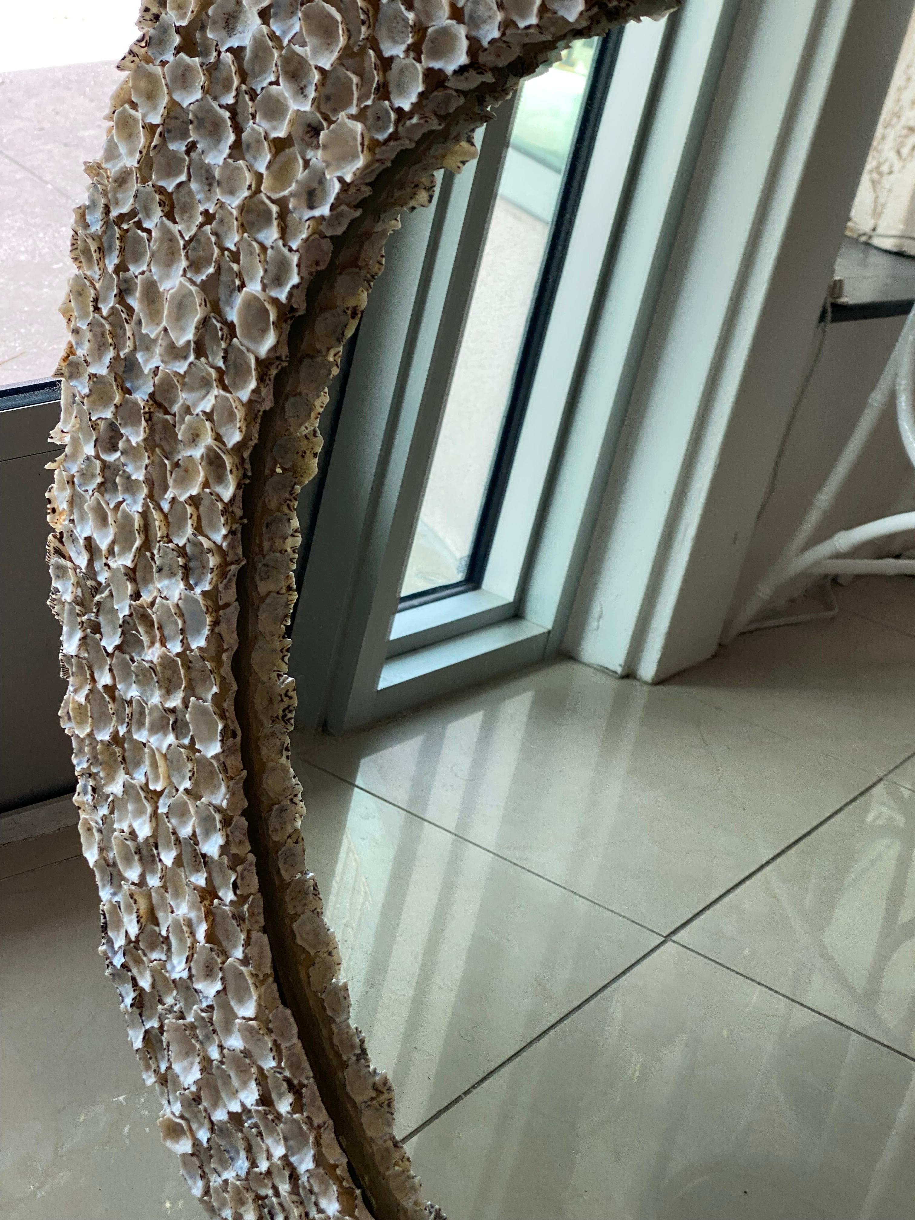 Vintage Seashell Shell Encrusted Round Circular Palm Beach Wall Mirror For Sale 7