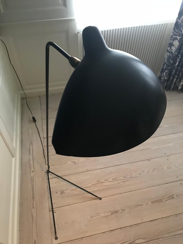 Serge Mouille Floor Lamp