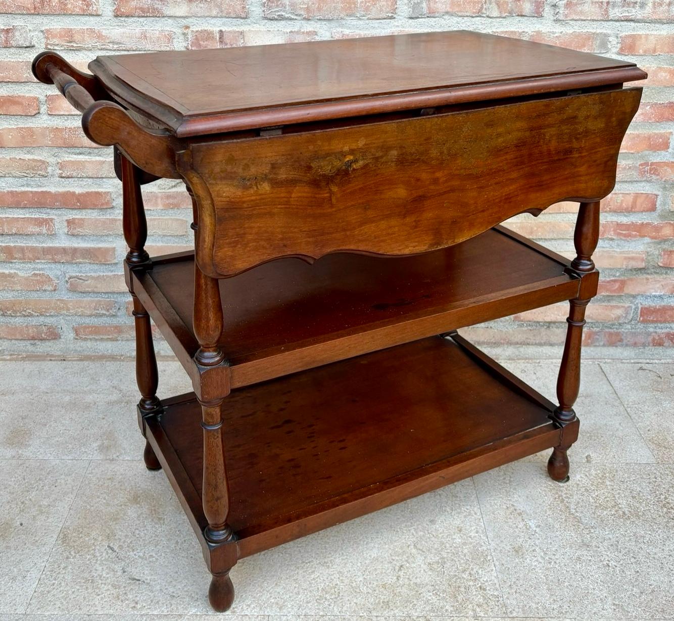 French Provincial Vintage Serving Trolley with Wheels and Wings, 1970s For Sale