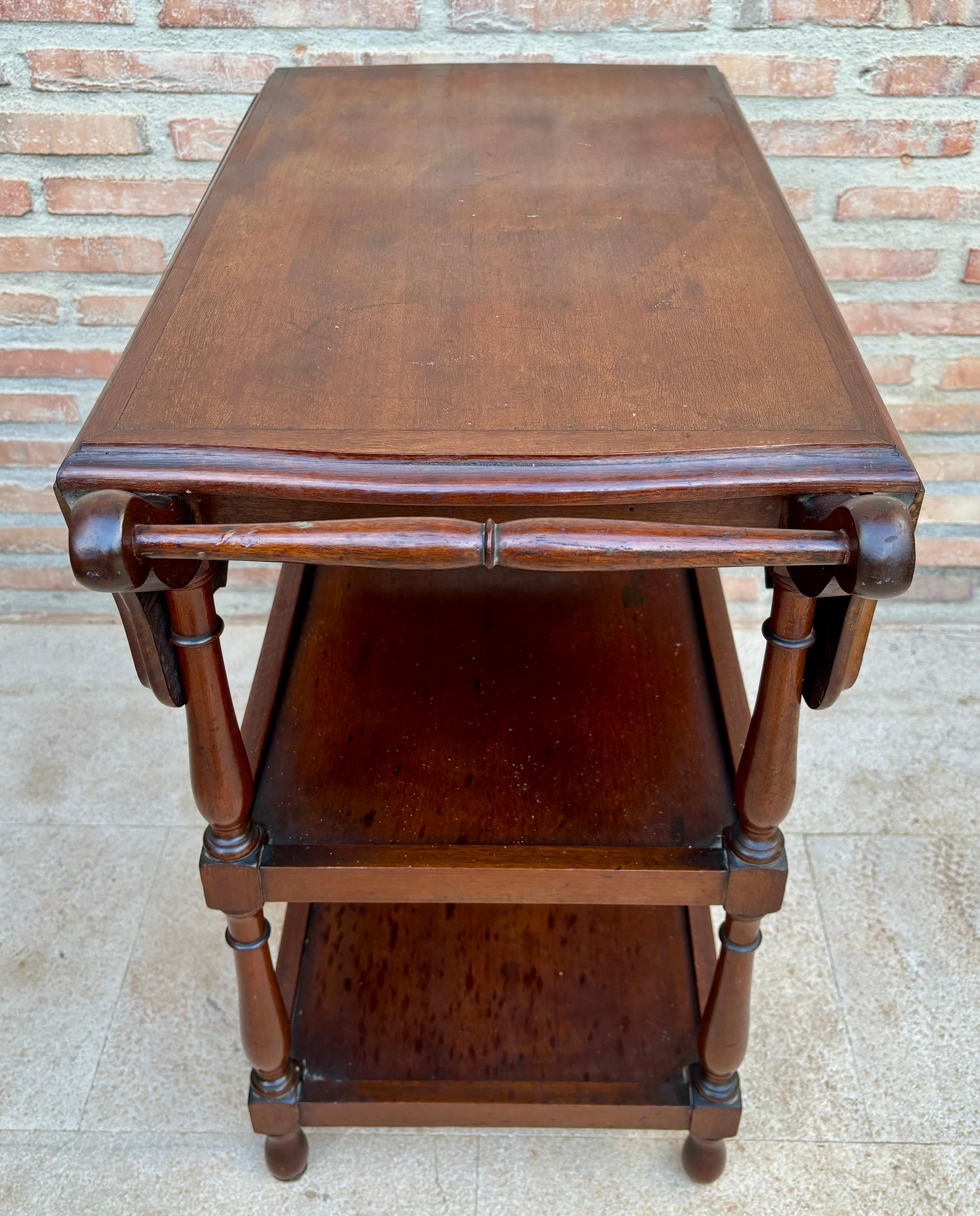 19th Century Vintage Serving Trolley with Wheels and Wings, 1970s For Sale