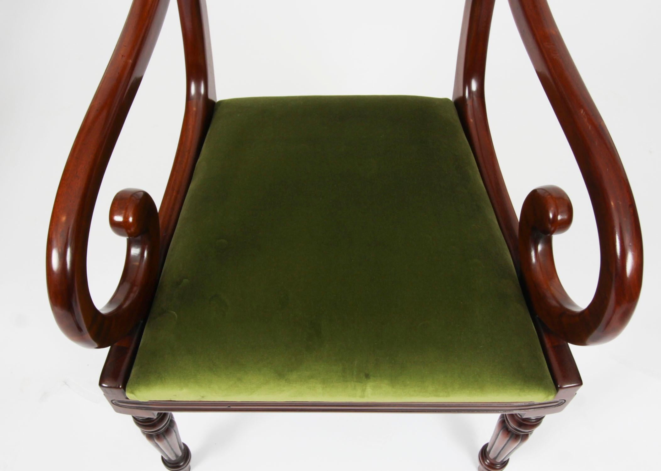 Vintage Set 12 English Regency Revival Bar Back Dining Chairs 20th Century 1