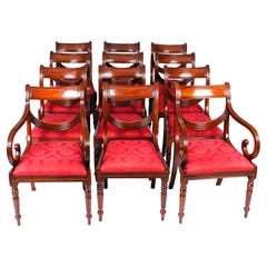 Vintage Set 12 Regency Revival Swag back Dining Chairs 20th Century